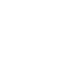 360 icon